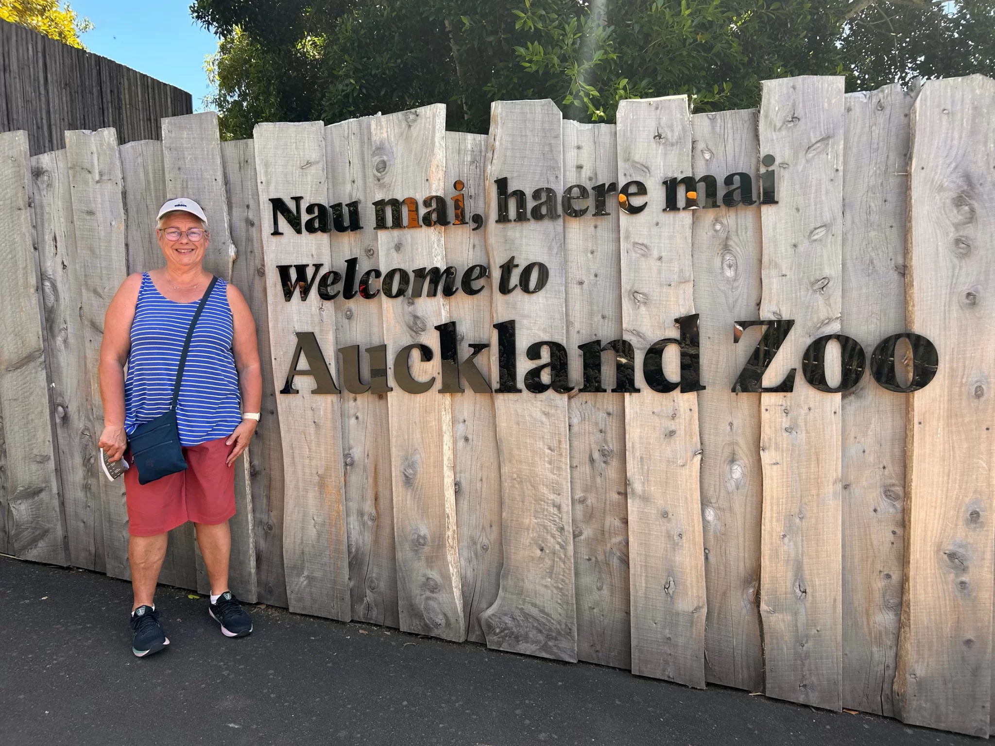 2024 – January – Day 21 – Auckland