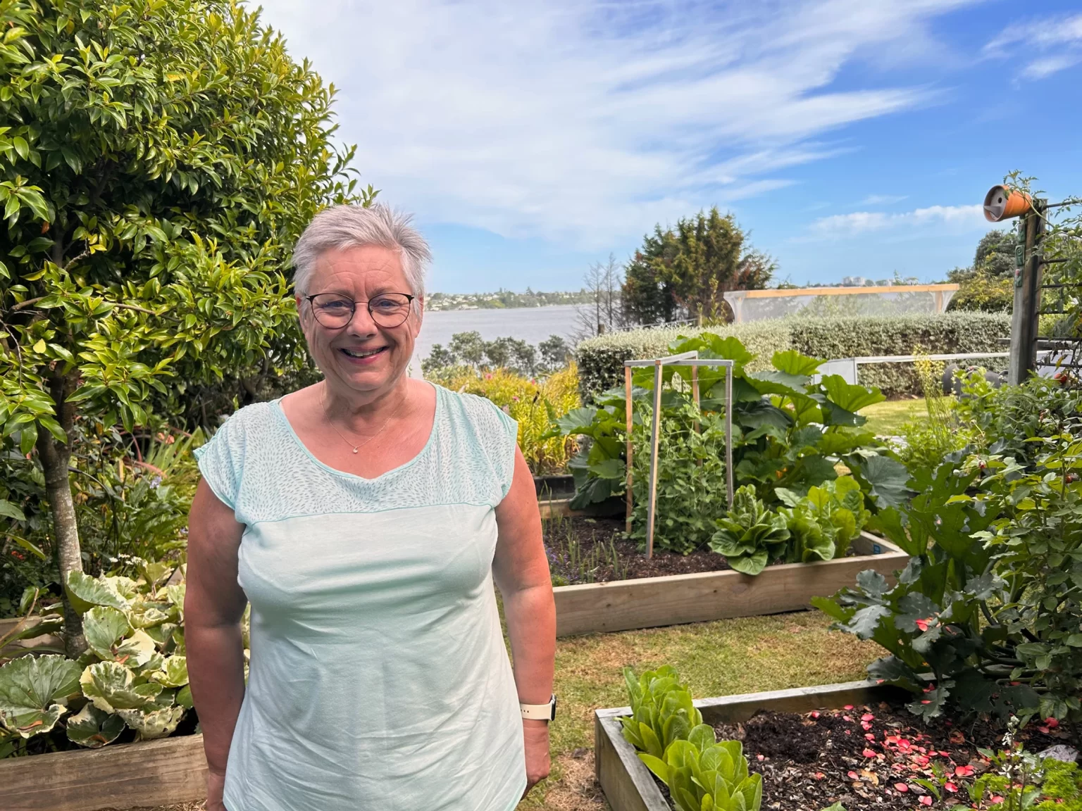 2024 – January – Day 15 – Matakana