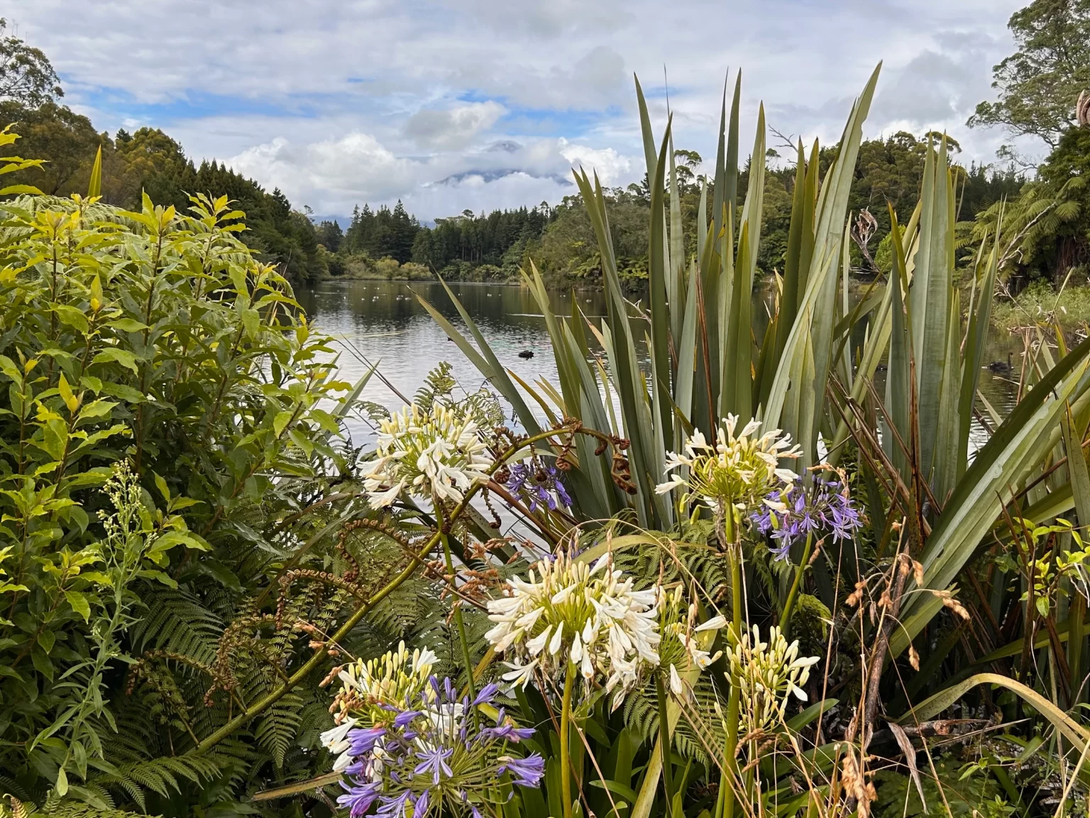 2024 – January – Day 13 – Tauranga