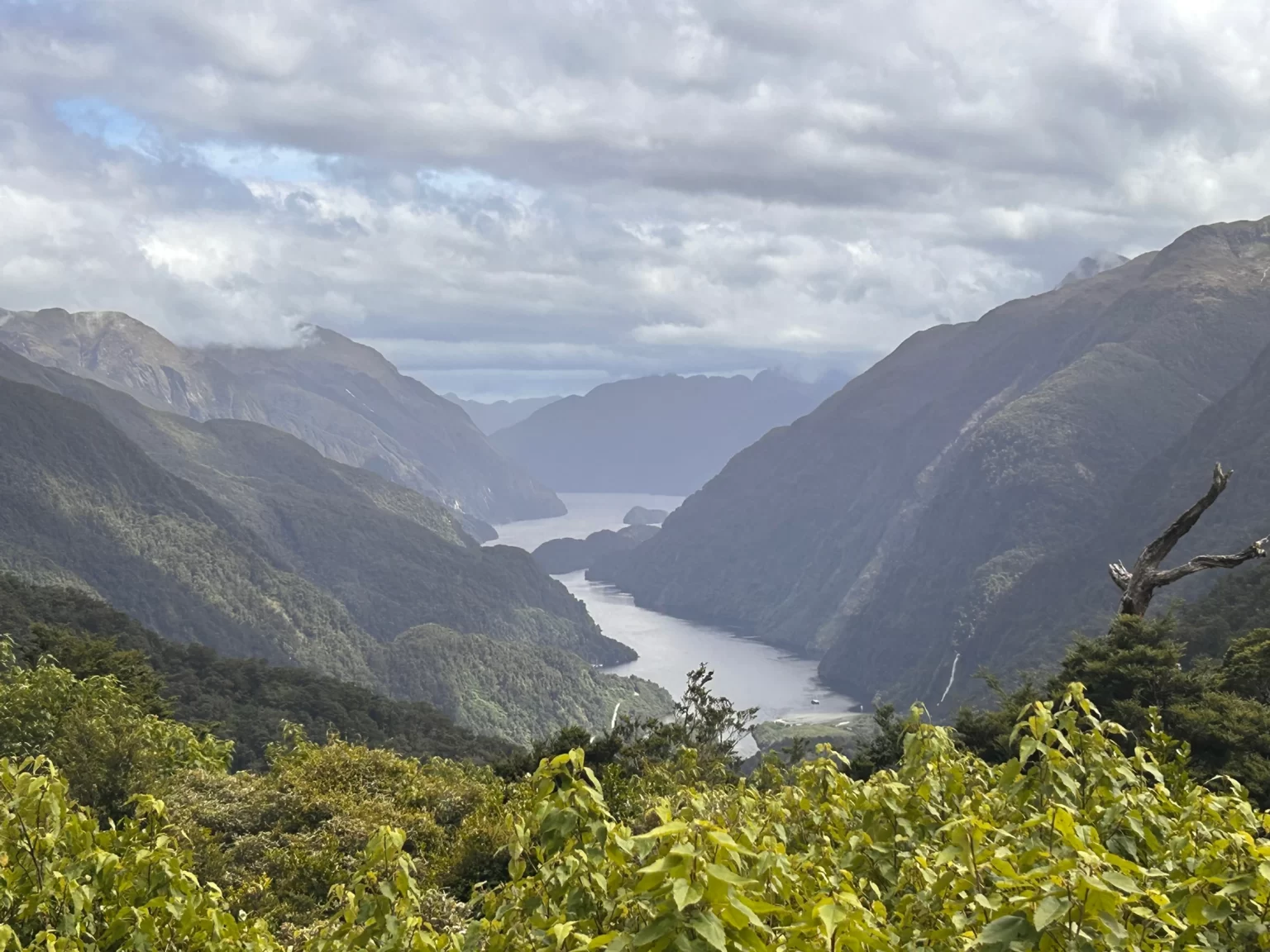 2024 – January – Day 8 – Doubtful Sound